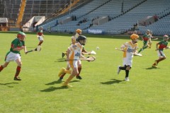 Pairc-U-Chaoimh-U10-blitz-2010-3