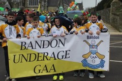 St-Patricks-Day-Parade-2014-52