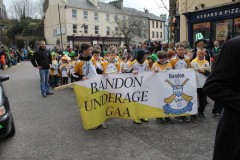 St-Patricks-Day-Parade-2014-66