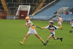 U10-Hurling-Blitz-in-Pairc-Ui-Chaoimh.-The-3-other-teams-played-were-Mallow-Ballyhea-and-Aghabullogue-1