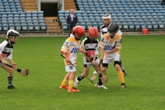 U10-Hurling-Blitz-in-Pairc-Ui-Chaoimh.-The-3-other-teams-played-were-Mallow-Ballyhea-and-Aghabullogue-10