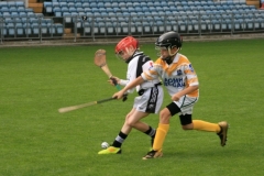U10-Hurling-Blitz-in-Pairc-Ui-Chaoimh.-The-3-other-teams-played-were-Mallow-Ballyhea-and-Aghabullogue-13