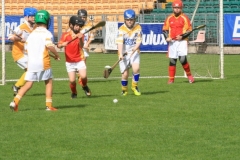 U10-Hurling-Blitz-in-Pairc-Ui-Chaoimh.-The-3-other-teams-played-were-Mallow-Ballyhea-and-Aghabullogue-16