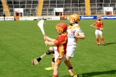 U10-Hurling-Blitz-in-Pairc-Ui-Chaoimh.-The-3-other-teams-played-were-Mallow-Ballyhea-and-Aghabullogue-18