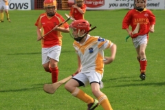 U10-Hurling-Blitz-in-Pairc-Ui-Chaoimh.-The-3-other-teams-played-were-Mallow-Ballyhea-and-Aghabullogue-19