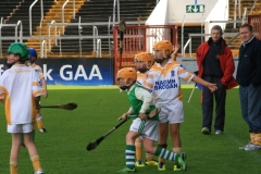 U10-Hurling-Blitz-in-Pairc-Ui-Chaoimh.-The-3-other-teams-played-were-Mallow-Ballyhea-and-Aghabullogue-2