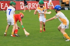 U10-Hurling-Blitz-in-Pairc-Ui-Chaoimh.-The-3-other-teams-played-were-Mallow-Ballyhea-and-Aghabullogue-20