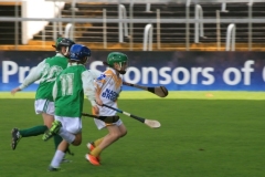 U10-Hurling-Blitz-in-Pairc-Ui-Chaoimh.-The-3-other-teams-played-were-Mallow-Ballyhea-and-Aghabullogue-3