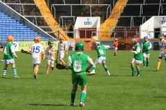U10-Hurling-Blitz-in-Pairc-Ui-Chaoimh.-The-3-other-teams-played-were-Mallow-Ballyhea-and-Aghabullogue-4