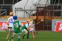 U10-Hurling-Blitz-in-Pairc-Ui-Chaoimh.-The-3-other-teams-played-were-Mallow-Ballyhea-and-Aghabullogue-6