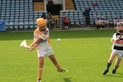 U10-Hurling-Blitz-in-Pairc-Ui-Chaoimh.-The-3-other-teams-played-were-Mallow-Ballyhea-and-Aghabullogue-7