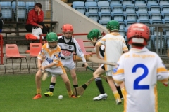 U10-Hurling-Blitz-in-Pairc-Ui-Chaoimh.-The-3-other-teams-played-were-Mallow-Ballyhea-and-Aghabullogue-9