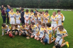 U12 (U11's) Section 3 West Cork Hurling Final