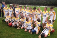 U12-U11s-Section-3-West-Cork-Hurling-Final-4