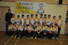Underage-prize-giving-with-Jimmy-Barry-Murphy-2-of-4-9